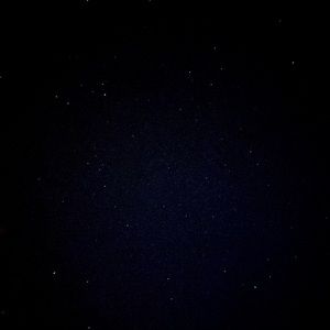 Meet your Posher, Marlee